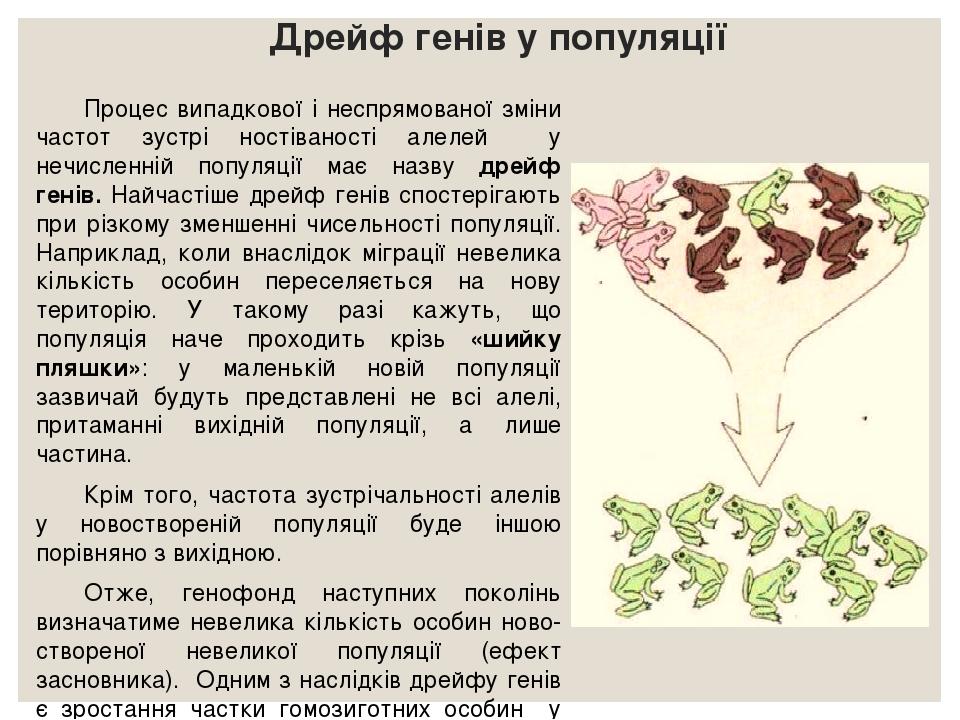 Дрейф генів у популяції Процес випадкової і неспрямованої зміни частот зустрі ностіваності алелей у нечисленній популяції має назву дрейф генів. На...