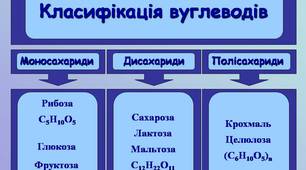  ВУГЛЕВОДИ - 2025р