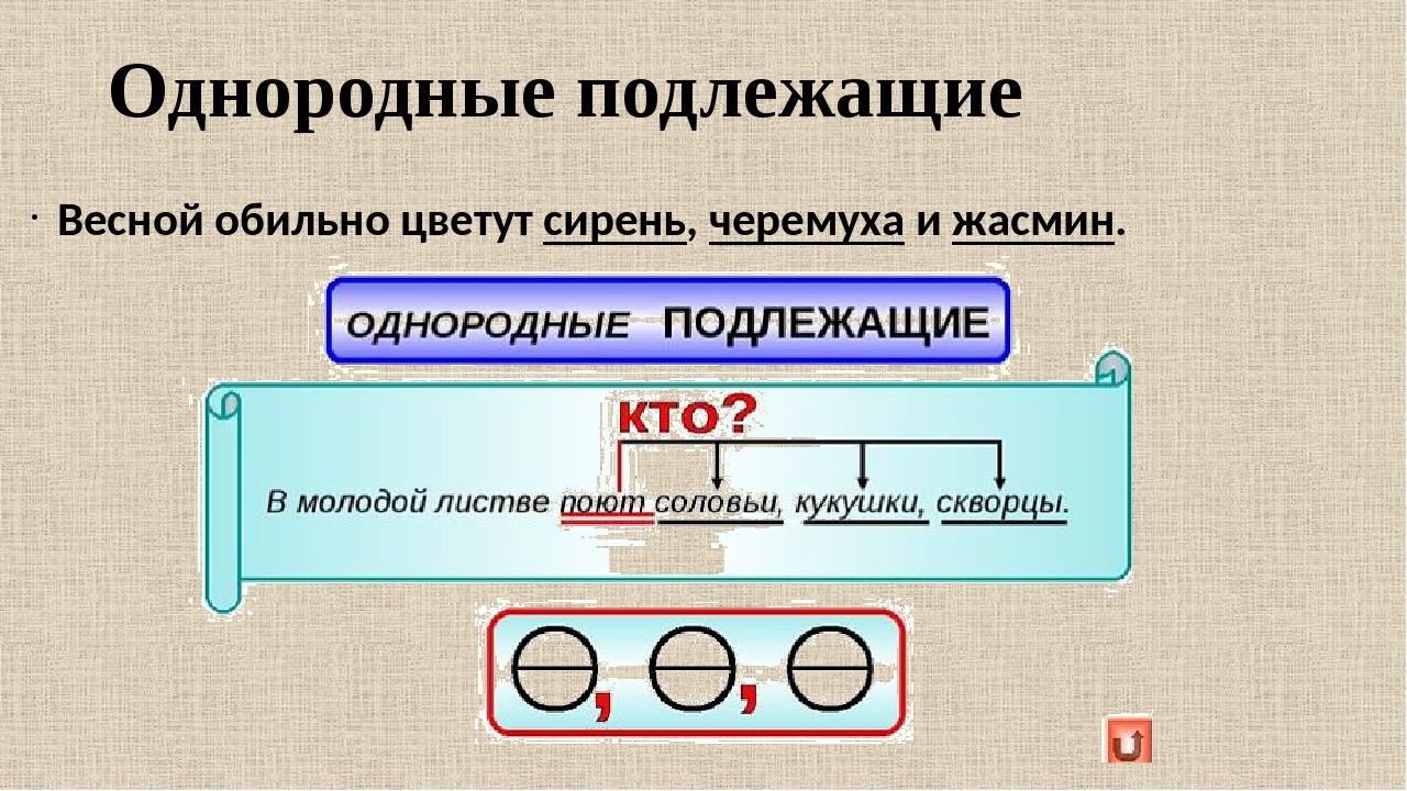 Однородные члены предложения (Презентация для 5 класса)