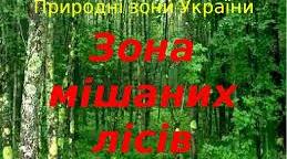Природні зони України. Зона мішаних лісів