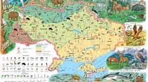  Природні зони України. Зона мішаних лісів.