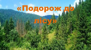 Дошкільнятам про ліс. Презентація – заняття з ознайомлення з природним довкіллям.