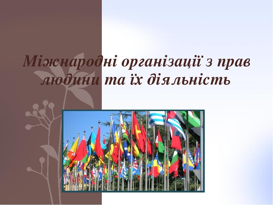 Міжнародні організації з прав людини та їх діяльність