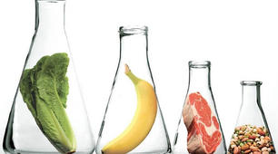 Презентація на тему: Маркування харчових продуктів із генетично модифікованої сировини. Державний моніторинг за оборотом харчової продукції, яка одержана з генетично модифікованої сировини