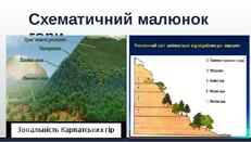 Віртуальна подорож в Українські Карпати | Презентація. Природознавство