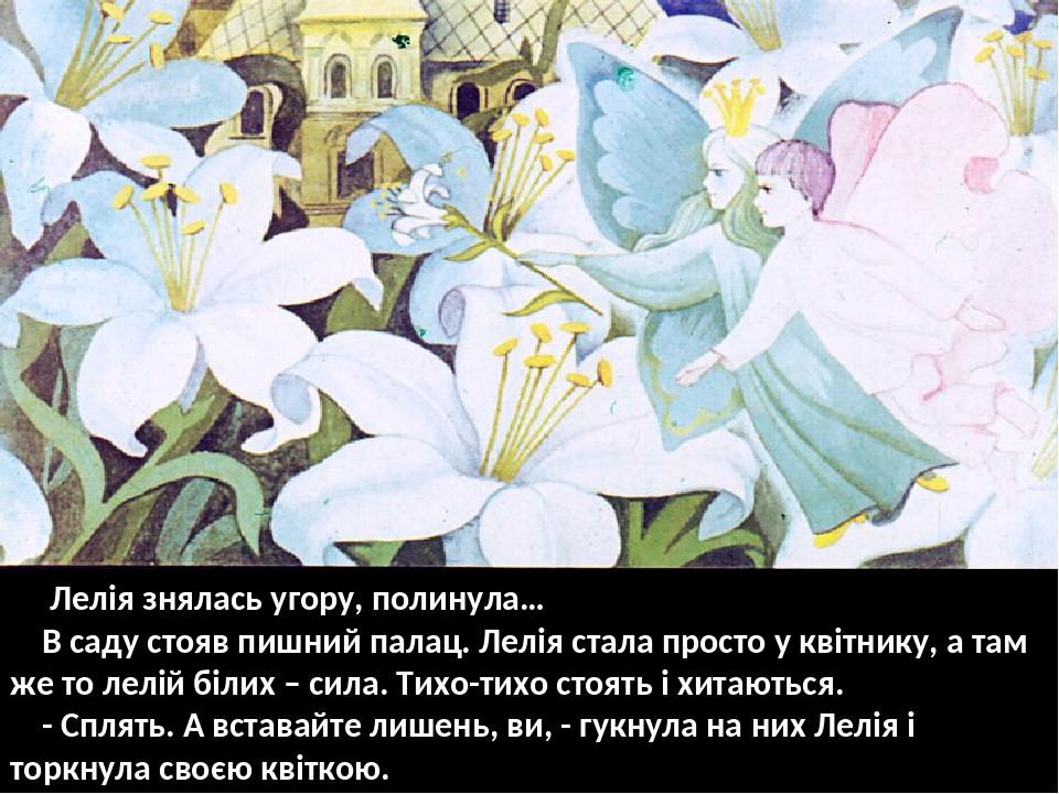 Лелія знялась угору, полинула… В саду стояв пишний палац. Лелія стала просто у квітнику, а там же то лелій білих – сила. Тихо-тихо стоять і хитають...