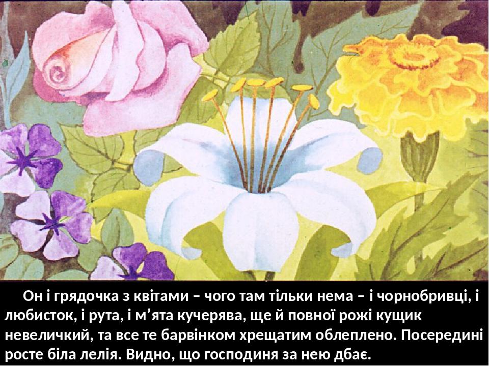 Он і грядочка з квітами – чого там тільки нема – і чорнобривці, і любисток, і рута, і м’ята кучерява, ще й повної рожі кущик невеличкий, та все те ...