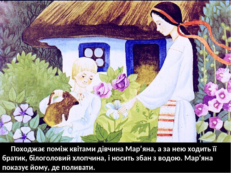 Походжає поміж квітами дівчина Мар’яна, а за нею ходить її братик, білоголовий хлопчина, і носить збан з водою. Мар’яна показує йому, де поливати.
