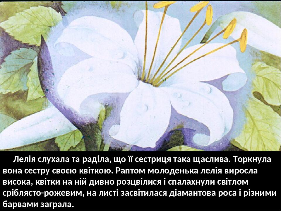 Лелія слухала та раділа, що її сестриця така щаслива. Торкнула вона сестру своєю квіткою. Раптом молоденька лелія виросла висока, квітки на ній див...