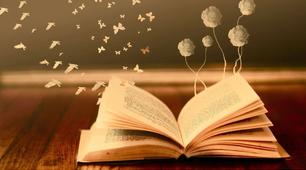 Презентація "Яка шана книжкам"
