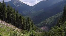 Гори України. Карпатські гори, Кримські гори.