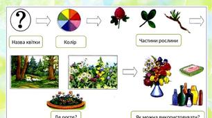 Відеозавдання "Опис квітки за схемою".