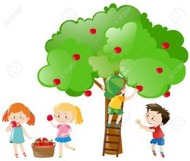 Children Picking Apples From Tree Illustration Royalty Free ...