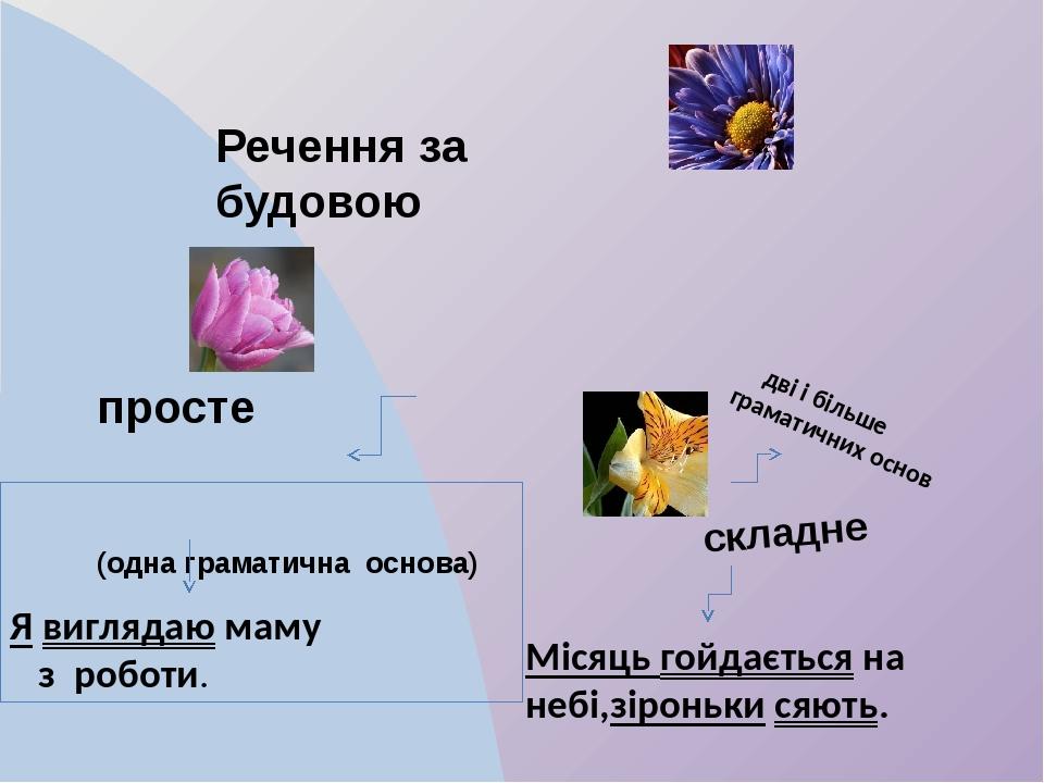 Речення за будовою просте (одна граматична основа) складне Я виглядаю маму з роботи. дві і більше граматичних основ Місяць гойдається на небі,зірон...