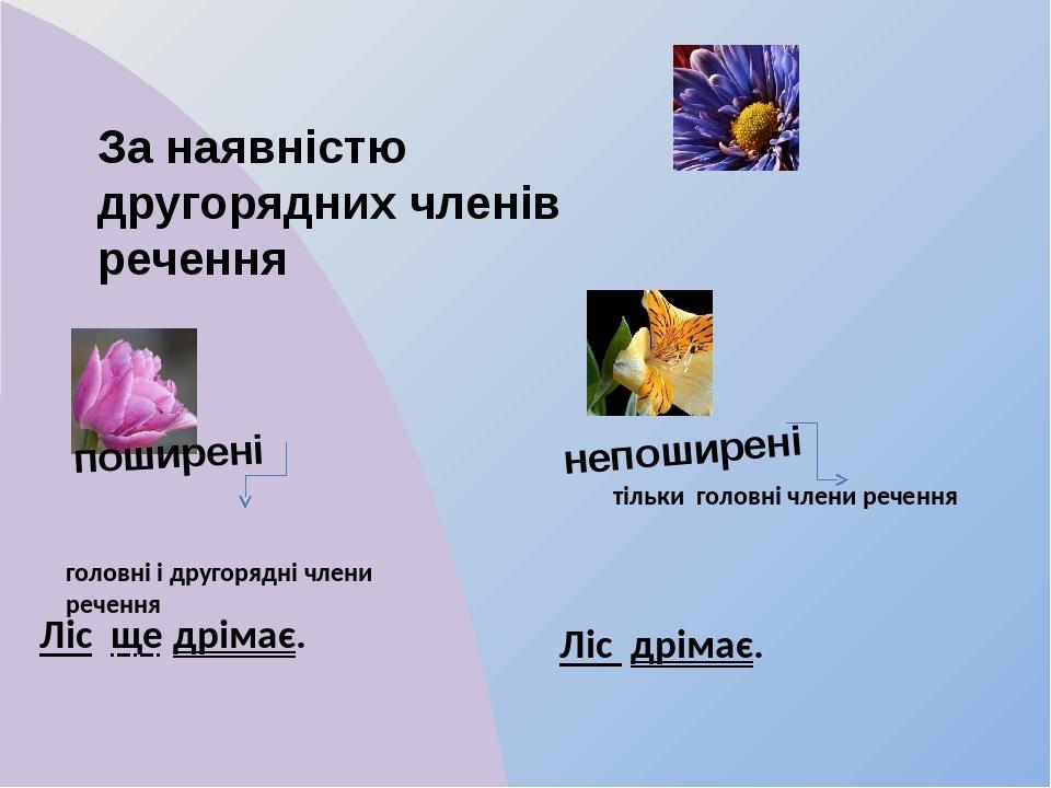 За наявністю другорядних членів речення поширені непоширені Ліс дрімає. Ліс ще дрімає. тільки головні члени речення головні і другорядні члени речення