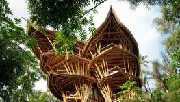 Elora Hardy Designs Eco-Friendly Bamboo Homes In Bali
