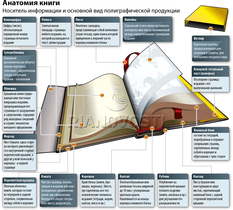 женщин одна картинка задняя часть книги можете