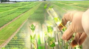 Біологія 11 клас. Підсумкове оцінювання. Варіант 2