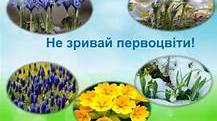 Тести  " Весняні  квіти "