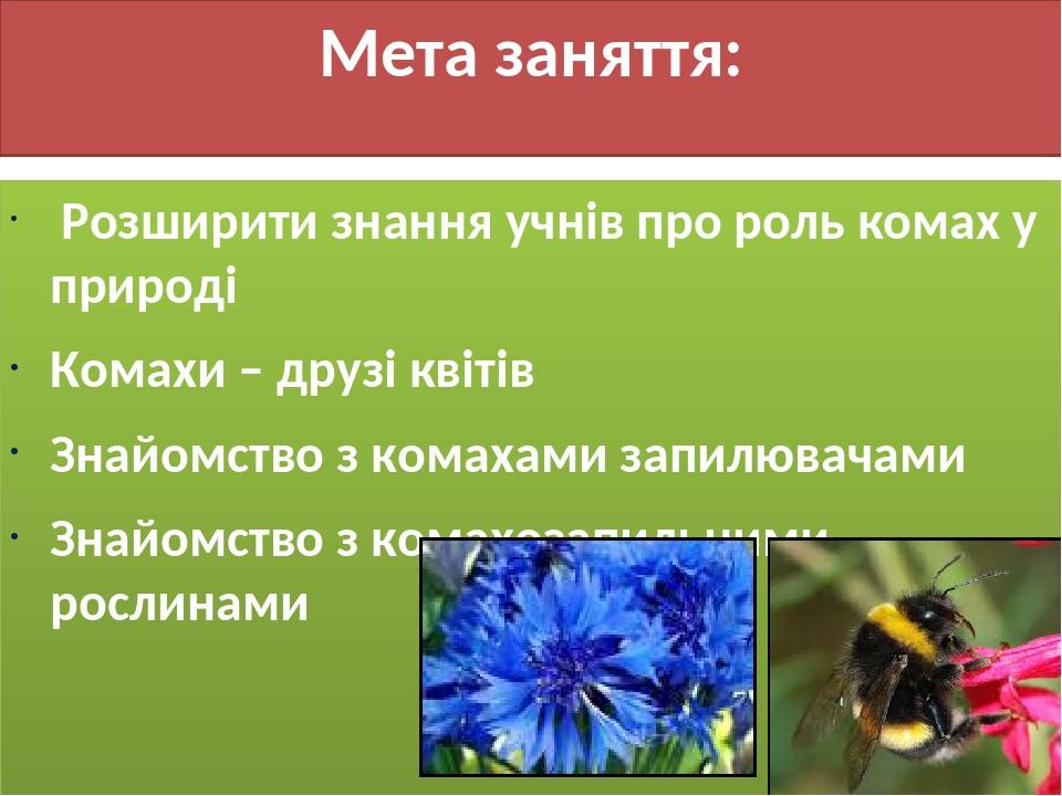Реферат На Тему Квіти І Комахи Реферат На Тему Квіти І Комахи