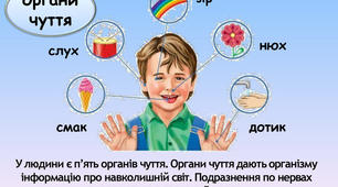 (Копія) Бережи органи чуття