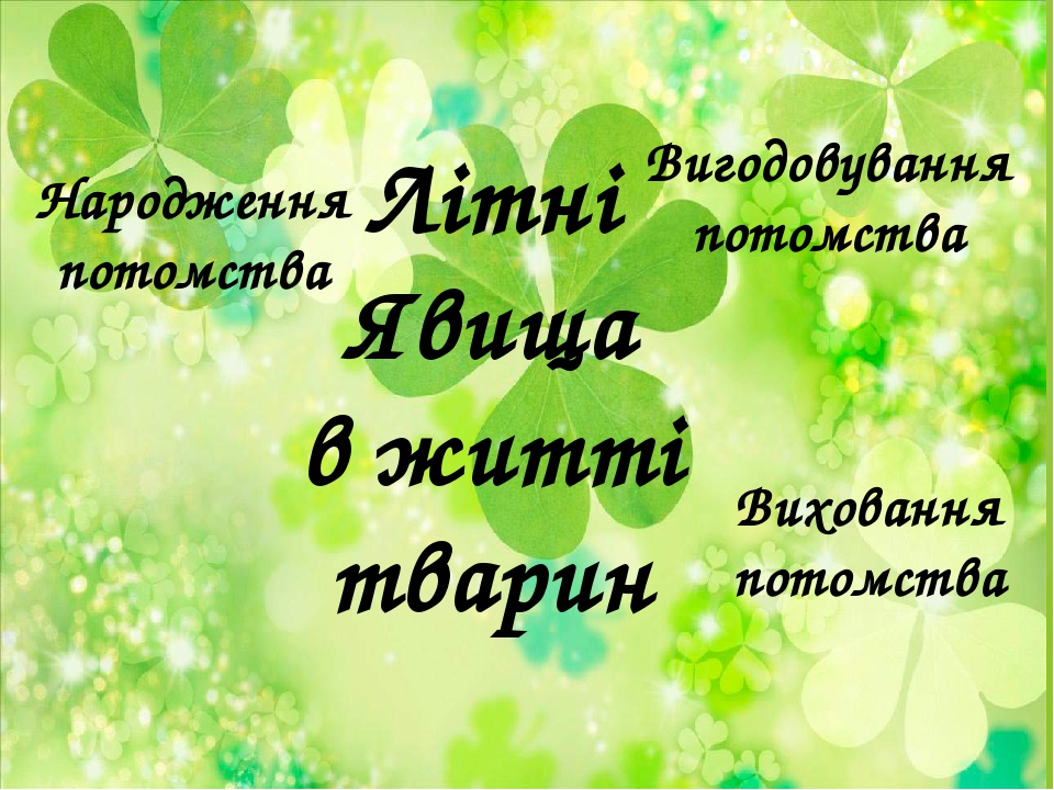 Літні Явища в житті тварин Народження потомства Вигодовування потомства Виховання потомства