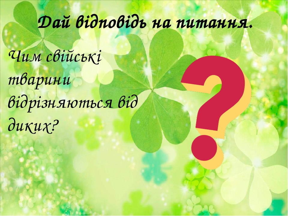 Дай відповідь на питання. Чим свійські тварини відрізняються від диких?