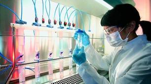Узагальнення знань з теми "Застосування результатів біодосліджень у селекції, медицині та біотехнології" 11 клас