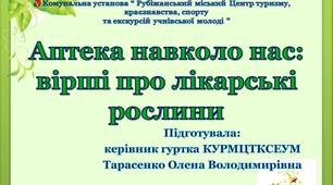 Дидактичні матеріали до теми "Лікарські рослини нашого краю"