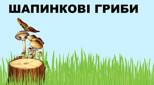 Гриби їстівні та отруйні