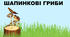 Гриби їстівні та отруйні