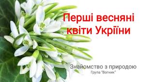 Перші квіти (знайомство із природним довкіллям)