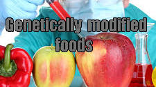 Методична розробка конспекту уроку з теми: Генно-модифікована їжа. (Genetically modified foods)