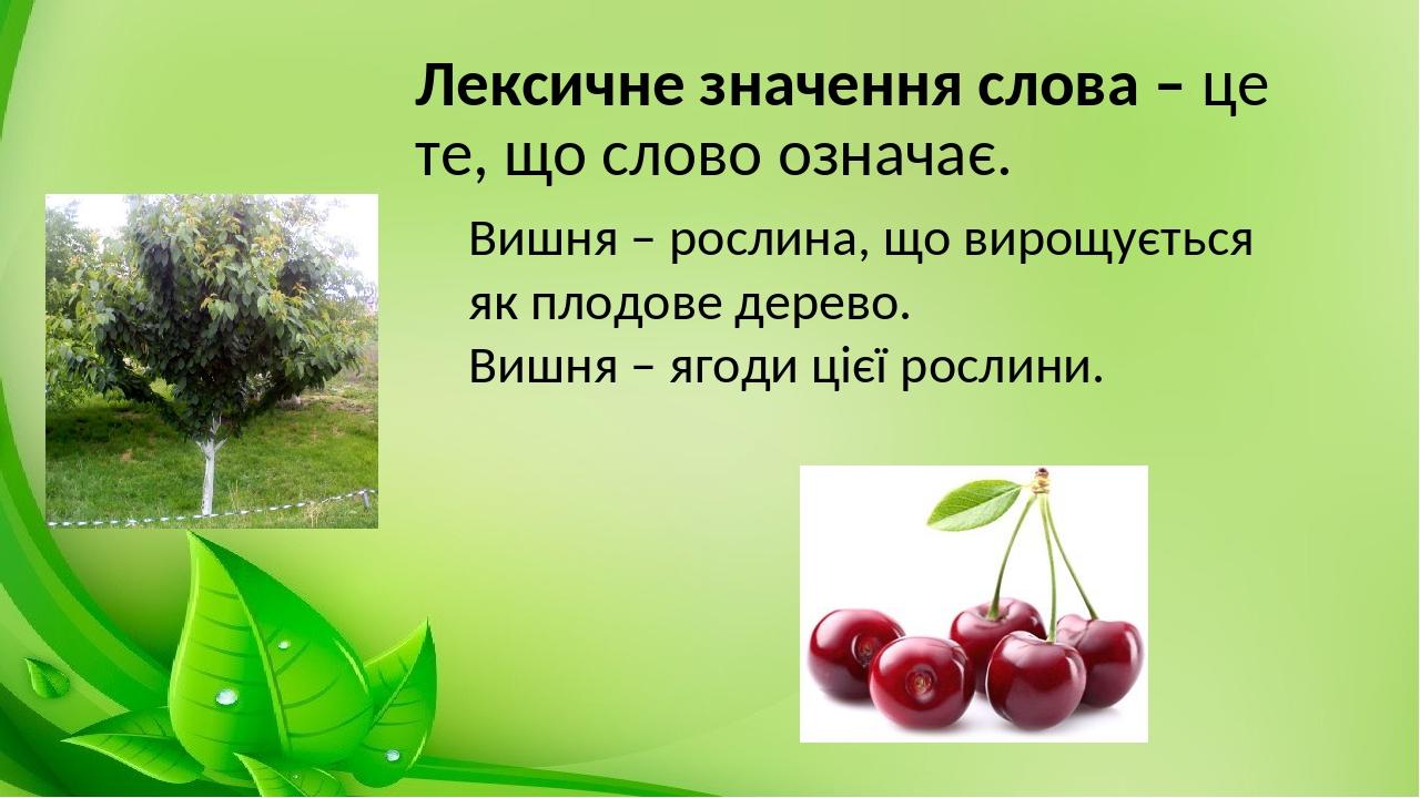 Текст cherry berry. Схема слова вишня. Стих вишня. Вопросы к слову вишня. Стих o вишне.