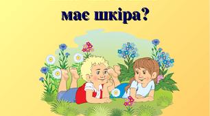 Яке значення має шкіра?