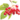 Аватар профіля