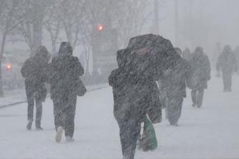Сегодня весь день в Ульяновске будет метель