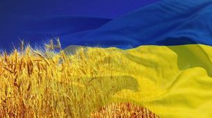 Напис-розтяжка (33 букви українського алфавіту в українському стилі)