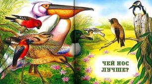 В. Бианки " Чей нос лучше"