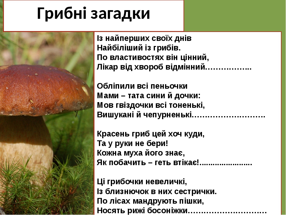 Схема слова гриб. Текст за грибами. Слово гриб. Опята схема слова.