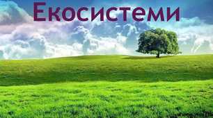 Екосистеми