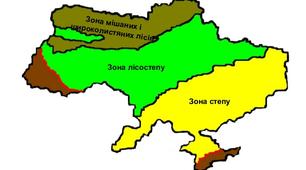 Природні зони України