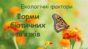Екологічні  фактори. Стабільність екосистем
