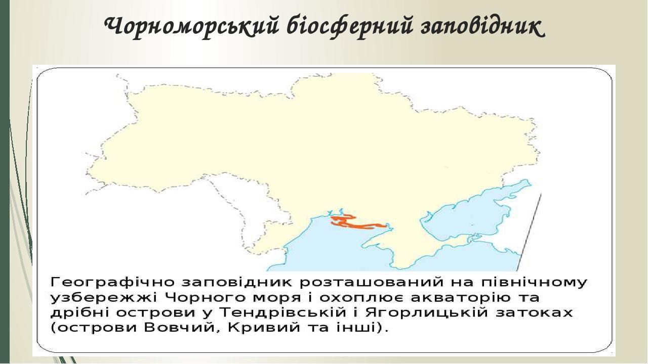Чорноморський біосферний заповідник