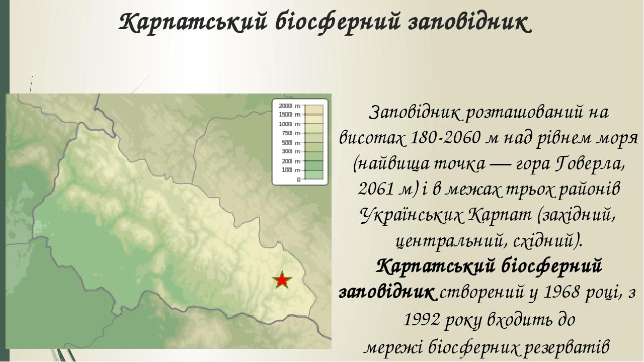 Карпатський біосферний заповідник Заповiдник розташований на висотах 180-2060 м над рівнем моря (найвища точка — гора Говерла, 2061 м) і в межах тр...