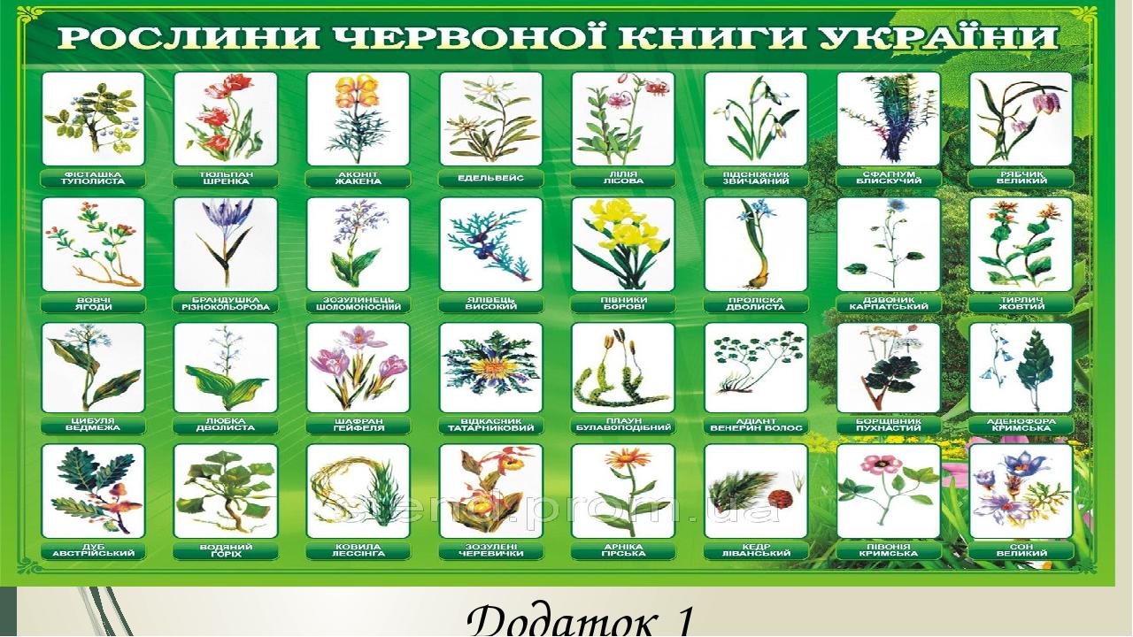 Додаток 1