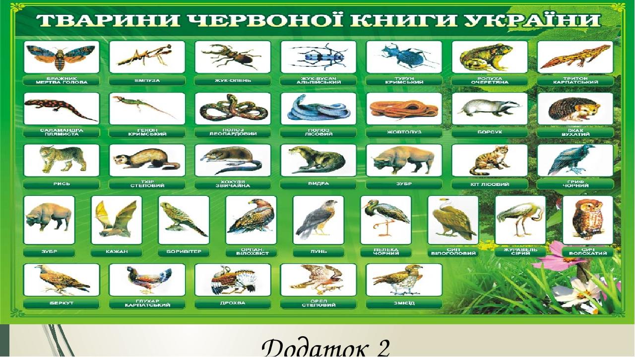 Додаток 2