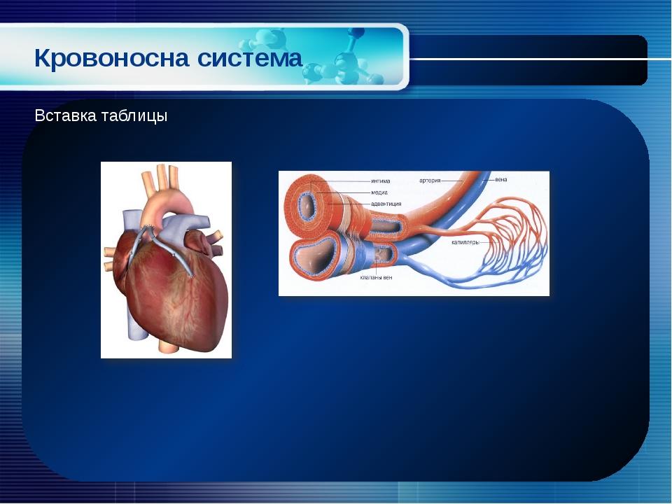 Prirodoznavstvo 3 Klas Krovonosna Sistema