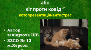 "ПОЗИТИВ ЖИТТЯ  або КІТ ПРОТИ КОВІД"   котопрезентація-антистрес