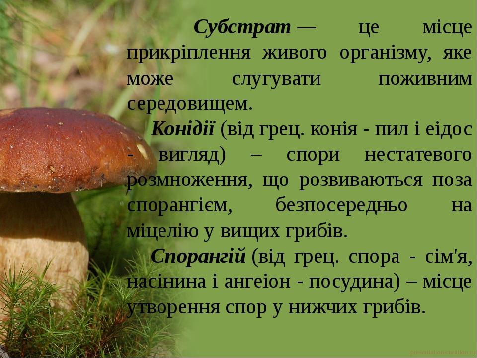 Курсовая работа по теме Гриби роду Synchytrium. Хвороби, які вони викликають, та біологічне обґрунтування захисних заходів Курсовая работа по теме Гриби роду Synchytrium. Хвороби, які вони викликають, та біологічне обґрунтування захисних заходів